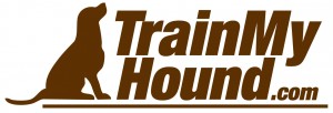 trainmyhound